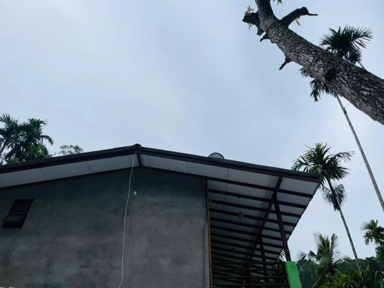 Nine Arch Jungle Inn Ella Exterior foto