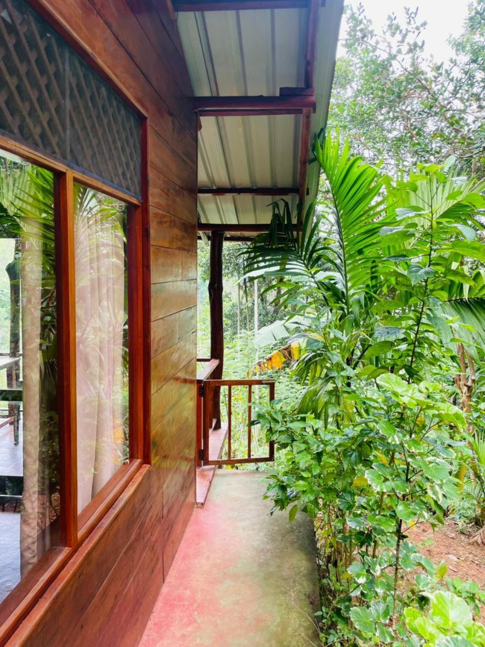 Nine Arch Jungle Inn Ella Exterior foto
